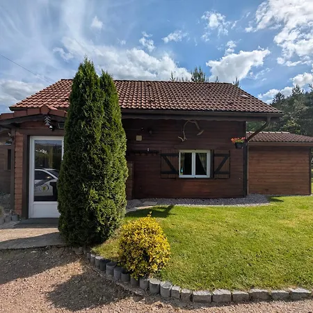En Bois Avec Jardin, Proche Et Randonnée, équipé Pour 8 Pers. à Vagney, Vosges - Fr-1-589-283 * Vagney